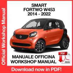 Manuale Officina Smart Fortwo W454