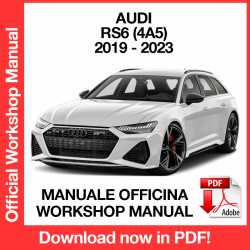 Manuale Officina Audi RS6 4A5
