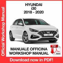 Workshop Manual Hyundai i30
