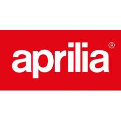 Manuale Officina Aprilia Atlantic 125 - 200 - 250 - 500...