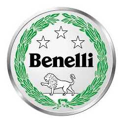 Manuale Officina Benelli