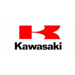 Manuale Officina Kawasaki
