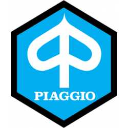 Manuale Officina Piaggio