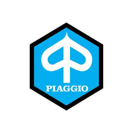 Manuale Officina Piaggio