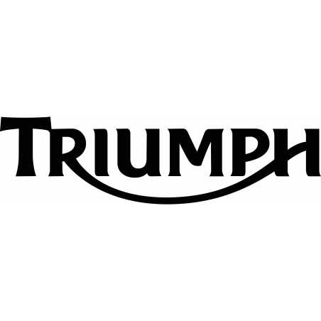 Manuale Officina Triumph