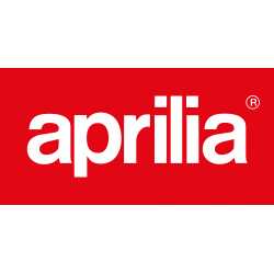Manuale Officina Aprilia MXV 450 (2009-2013) (ITA)