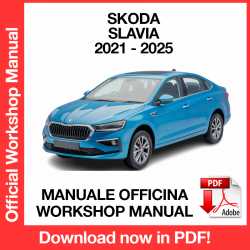 Workshop Manual Skoda Slavia (2021-2024) (EN)