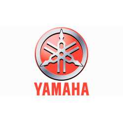 Manuale Officina Yamaha