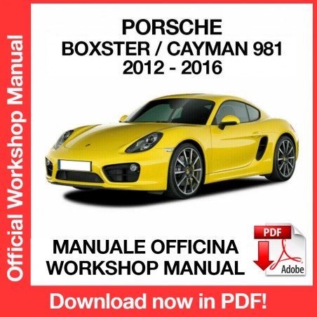 Manuale Officina Porsche Boxster - Cayman 981
