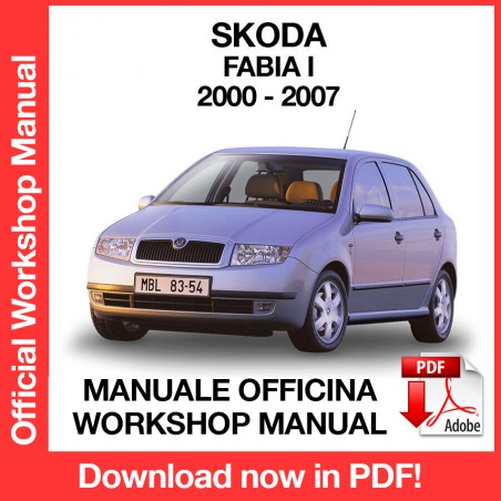 Manuale Officina Skoda Fabia MK1