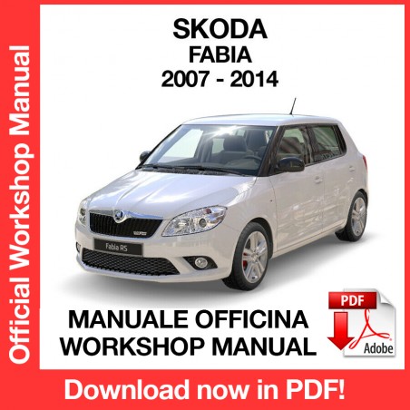Manuale Officina Skoda Fabia MK2