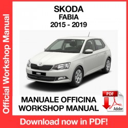 Manuale Officina Skoda Fabia MK3