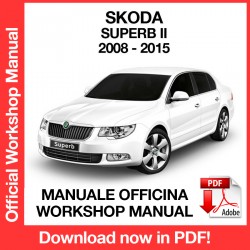 Manuale Officina Skoda Superb MK2