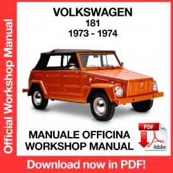 Workshop Manual Volkswagen 181