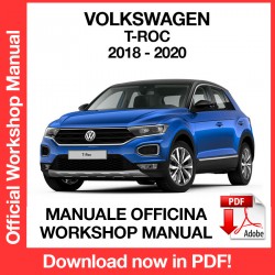 Workshop Manual Volkswagen T-Roc