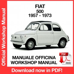 FINO AL MANUALE PER OFFICINA M 1957-1973 0090 Haynes Fiat 500 