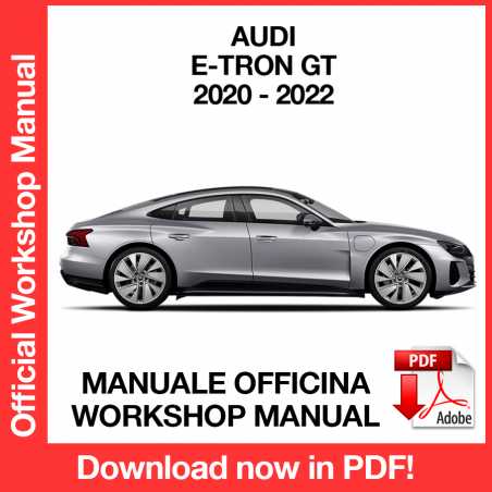 Workshop Manual Audi GT e-tron (2020-2022) (EN)