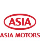 ASIA - Workshop Manuals