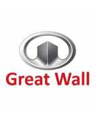 GREAT WALL - Manuali Officina
