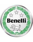 BENELLI - Workshop Manuals