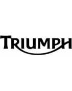 TRIUMPH - Manuali Officina