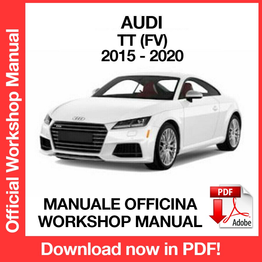 WORKSHOP MANUAL AUDI TT (2015-2020) (EN)