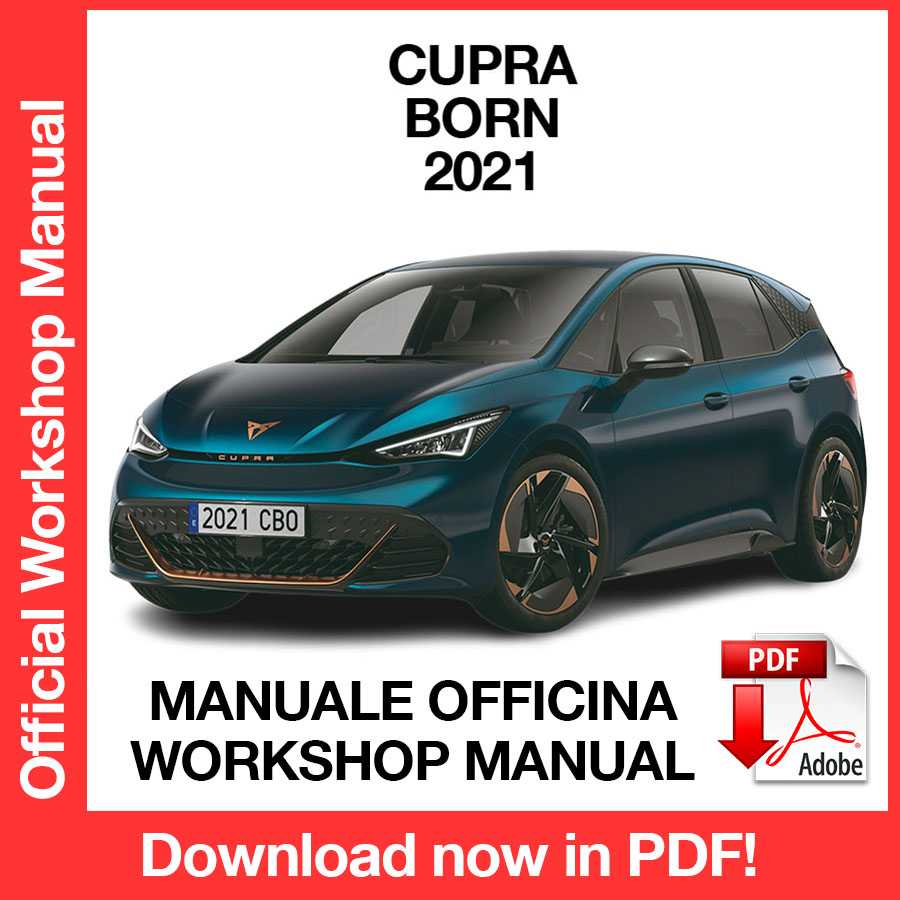 Workshop Manual Cupra Born (2021) (EN)