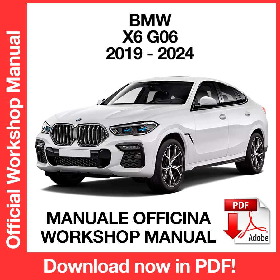 Workshop Manual BMW X6 G06 (2019-2024) (EN)
