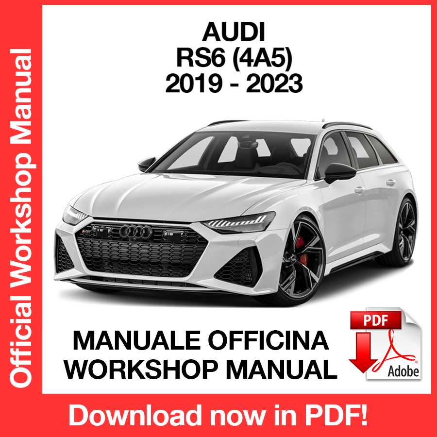 Workshop Manual Audi RS6 4A5 (2019-2023) (EN)