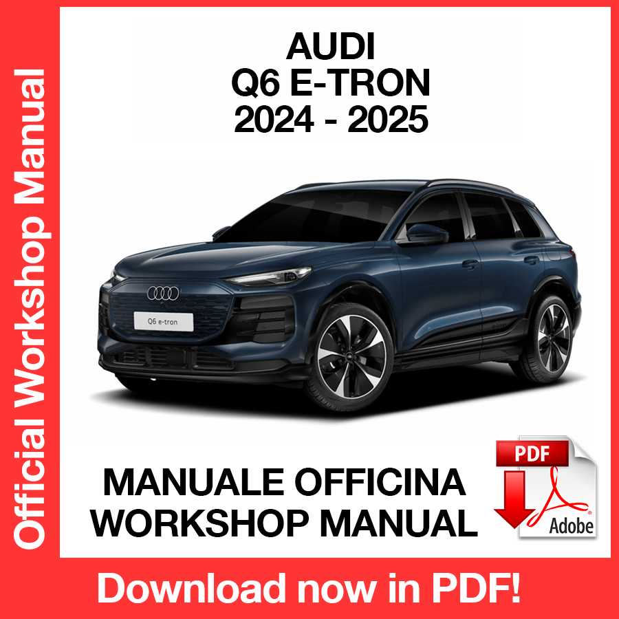 Workshop Manual Audi Q6 e-tron (2024-2025) (EN)
