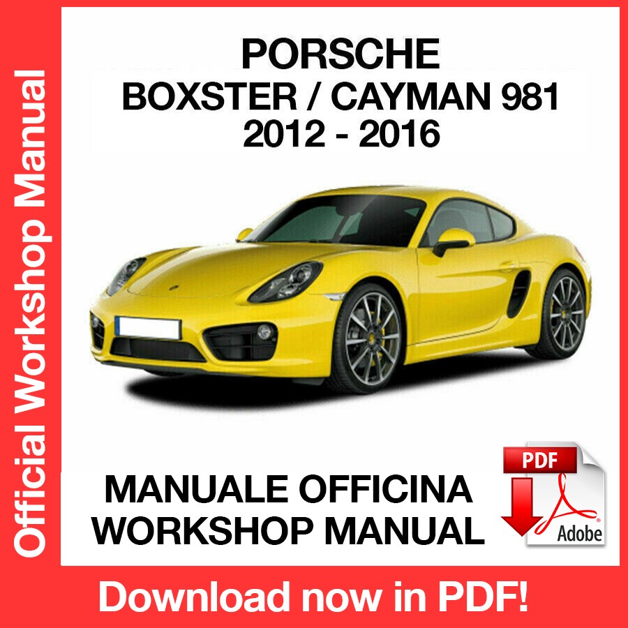 Workshop Manual Porsche Boxster - Cayman 981 (2012-2016) (EN)