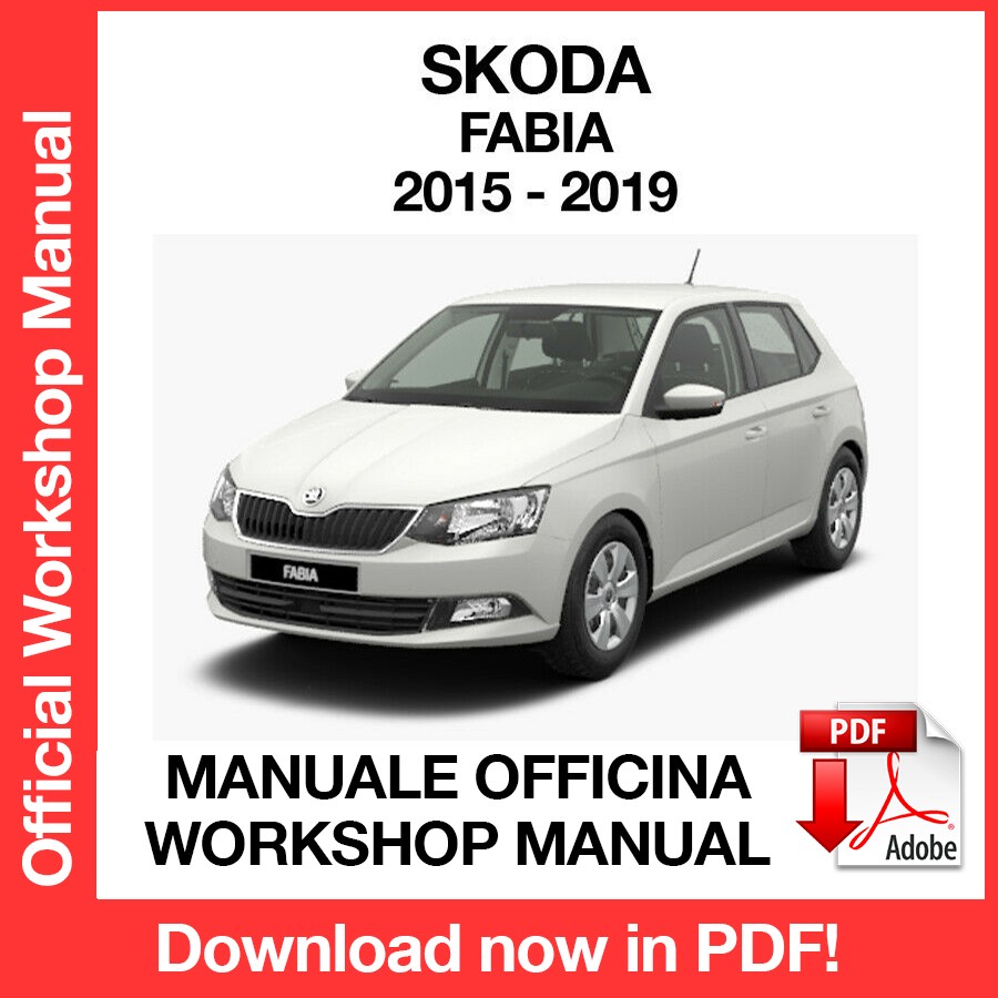 Workshop Manual Skoda Fabia MK3 (2015-2019) (EN)