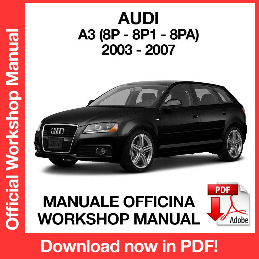 WORKSHOP MANUAL AUDI A3 (2003-2007) (EN)