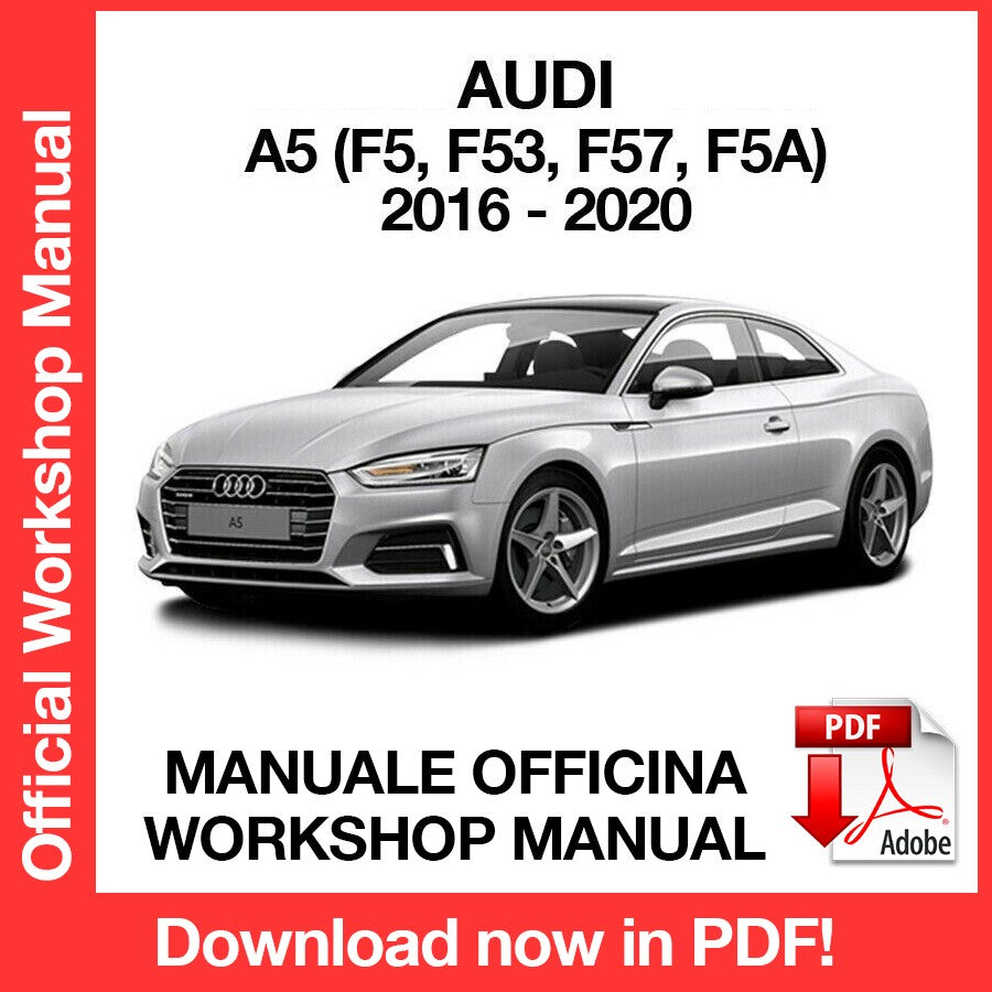 WORKSHOP MANUAL AUDI A5 (2016-2020) (EN)