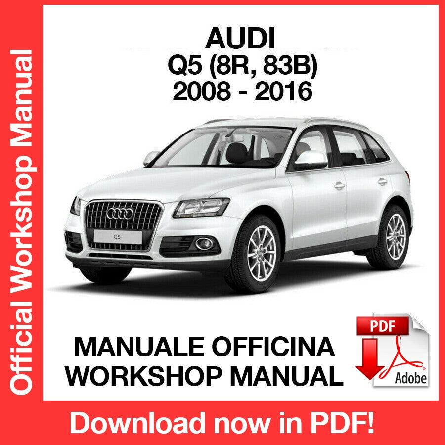 WORKSHOP MANUAL AUDI Q5 (2008-2016) (EN)