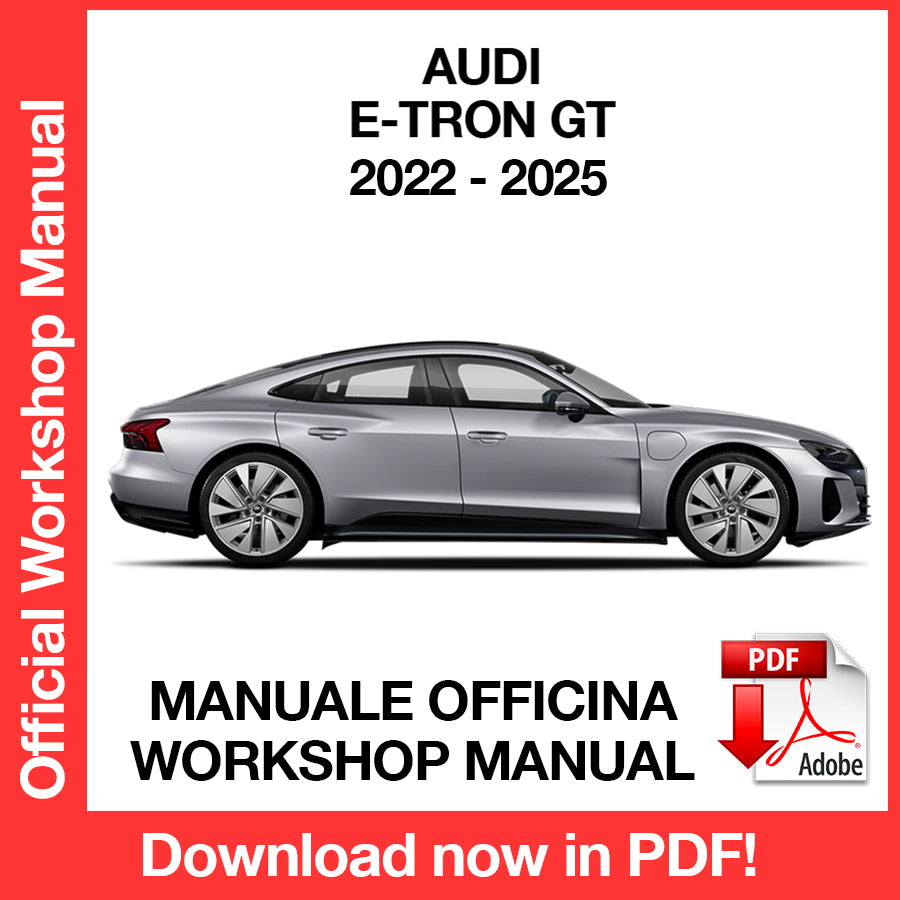 Workshop Manual Audi GT e-tron (2022-2025) (EN)
