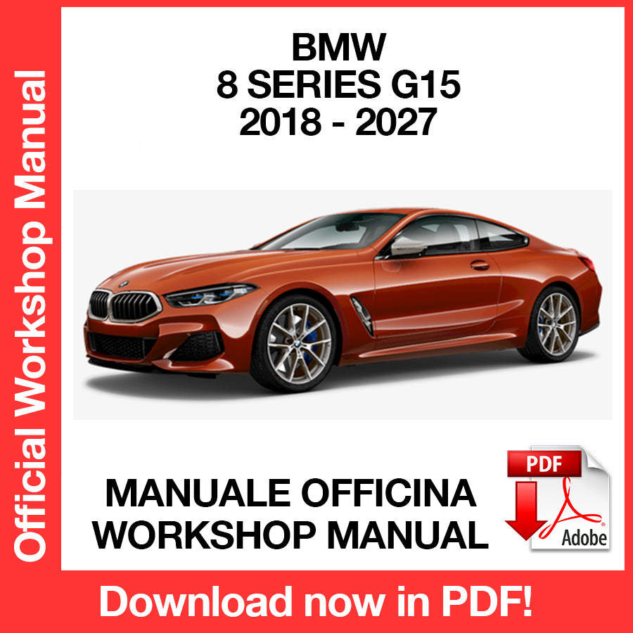 Manuale Officina BMW Serie 8 Coupe G15 (2018-2027) (EN)