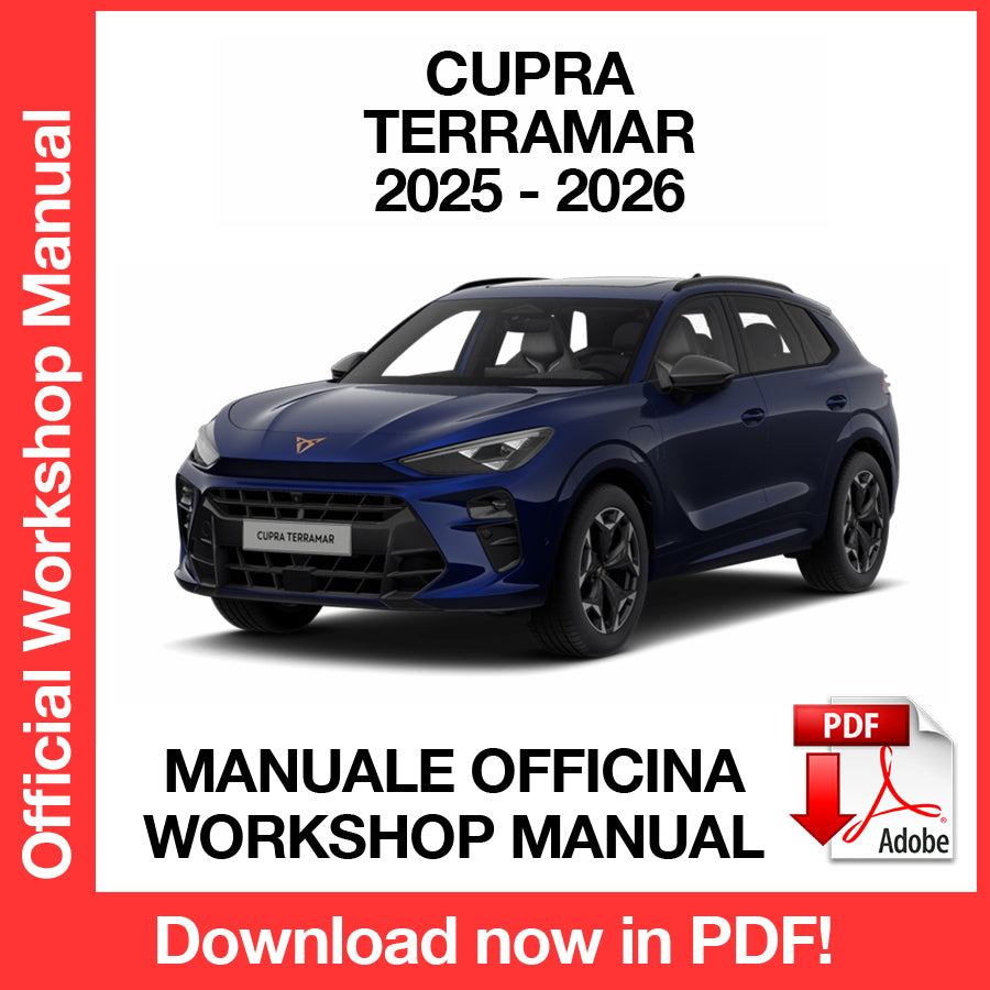 Manuale Officina Cupra Terramar (2025-2026) (EN)