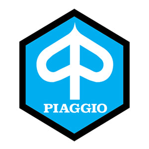 Manuale Officina Piaggio Porter - Quargo (ITA)
