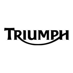 Manuale Officina Triumph Sprint ST RS (2002) (EN)